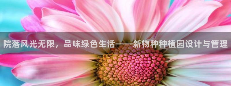 新宝GG用哪个网址登录:院落风光无限,品味绿色生活——新物种种植园设计与管理