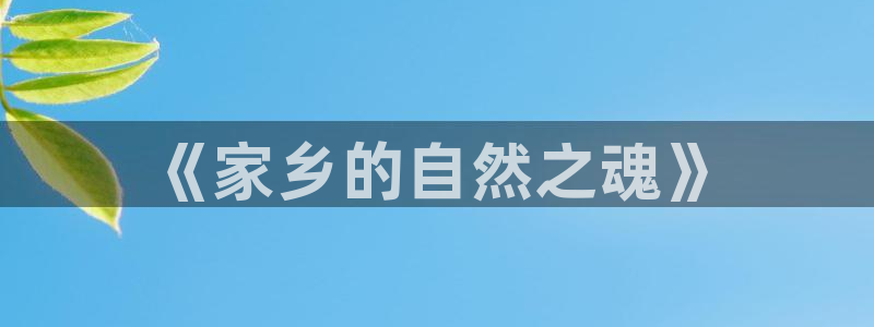 新宝gg登陆新:《家乡的自然之魂》