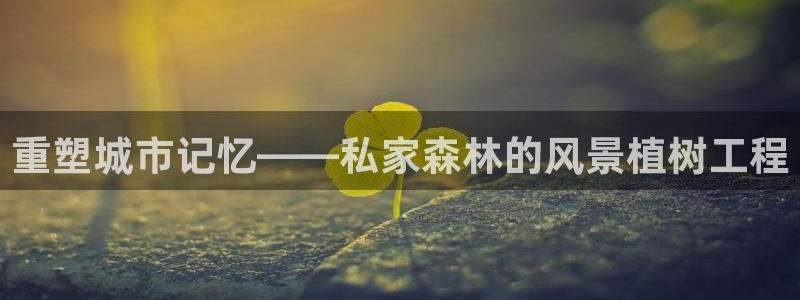 新宝GG 黑钱:重塑城市记忆——私家森林的风景植树工程